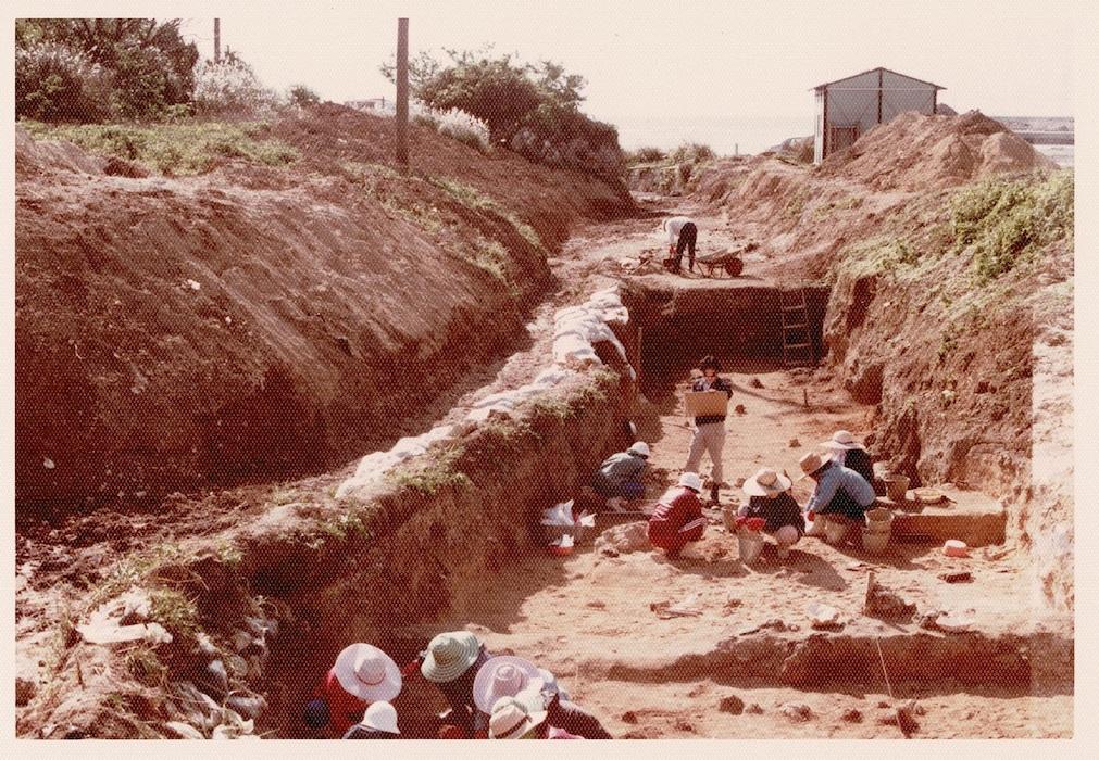 1981(昭和56)年1月 野国貝塚から沖縄最古の土器出土