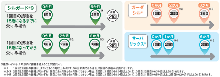 子宮頸がんワクチン接種間隔（厚労省ＨＰ）.PNG